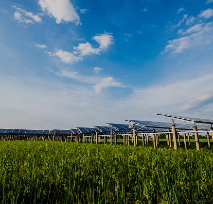 Pannelli fotovoltaici E-Sun in terreno agricolo in Sicilia