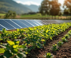 Pannelli fotovoltaici E-Sun installati in un terreno agricolo